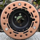 1.9 LIMITED EDITION WHEELS